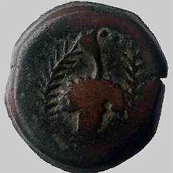 moneda de cobre de Acinipo