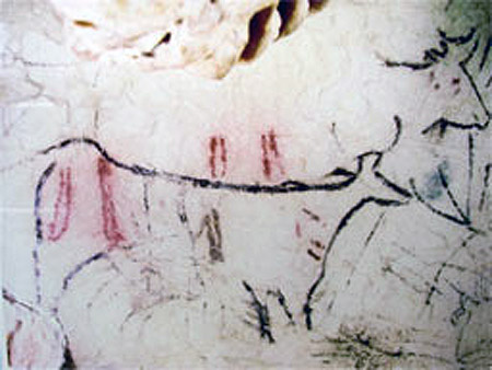Grabado rupestre de un Toro Grabado rupestre de un Toro