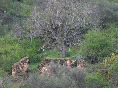 Restos de una construcción en los montes. Restos de una construcción en los montes.