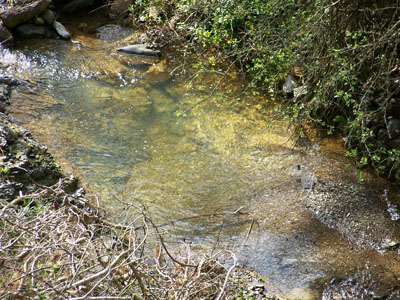 Nacimiento del Guadalmedina. Nacimiento del Guadalmedina.