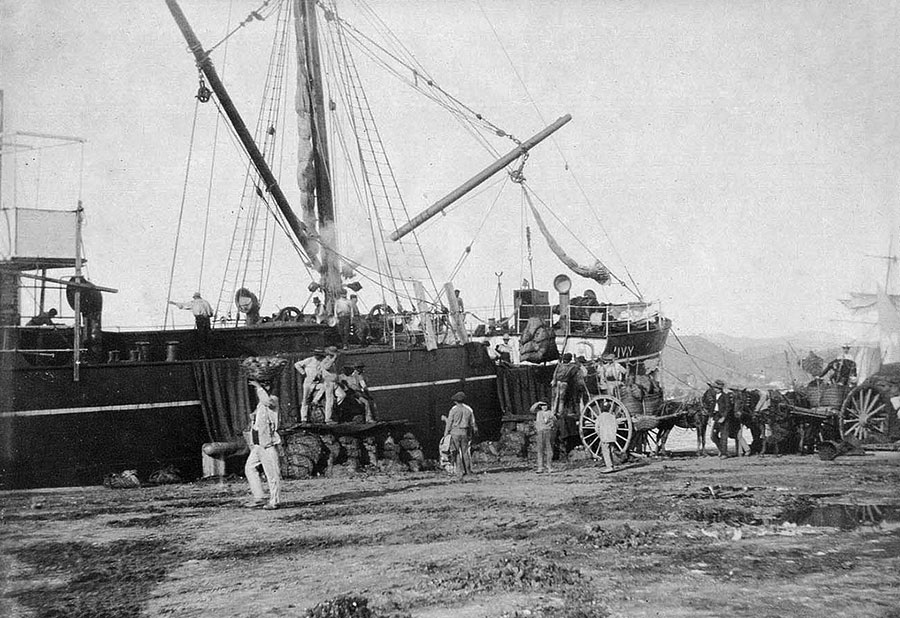 Estibadores del Puerto de Málaga en el siglo XIX