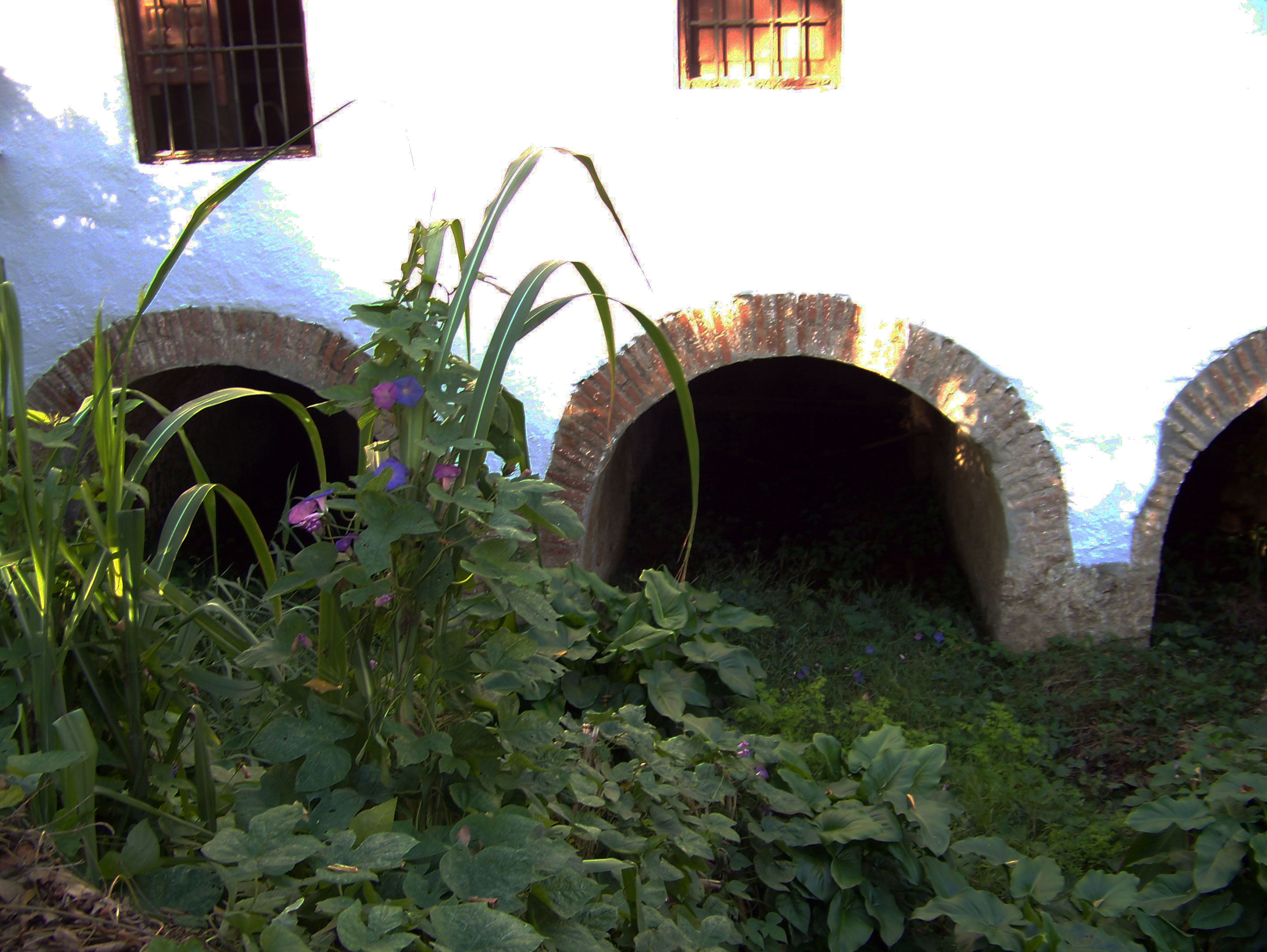Huecos donde gira el rodezno del Molino ó Cárcavos del Molino.