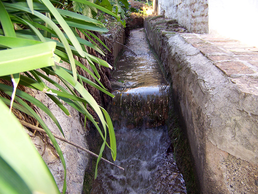 Molino número uno