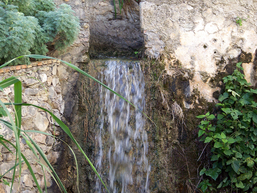 Molino número uno