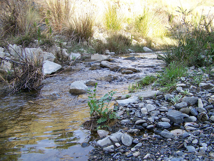 Rio Guadalmedina