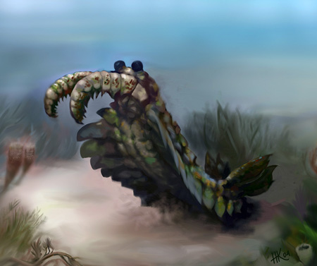 Anomalocaris